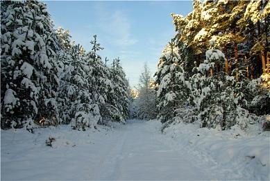 在育碧“道歉”声明后 IGN也改口称弥助不是武士