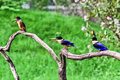 《鬼武者：剑之道》海量细节公开 通关大约20个小时